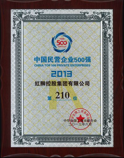 2013中國民營企業500強
